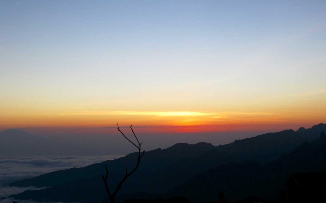 2 Weeks After Kili Reflections