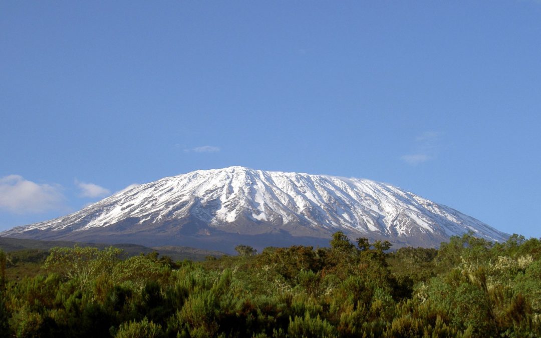 17 Days Till Kili Parkas Poles and Perseverance